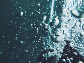 孕期外阴阴道假丝酵母菌病用克霉唑几粒装